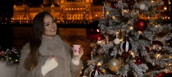 Christmas Market Cruise