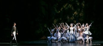 The Sleeping Beauty