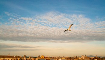 Vista Trastevere Roof Bar and Restaurant