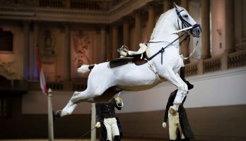 École d´équitation espagnole de Vienne