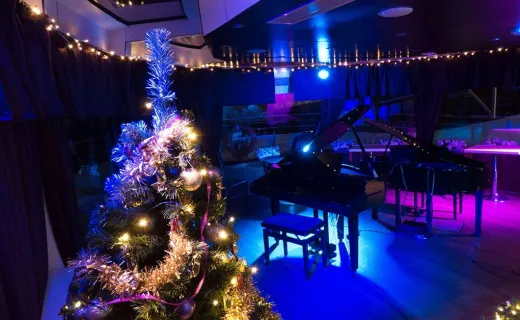 Cena de Navidad y Crucero