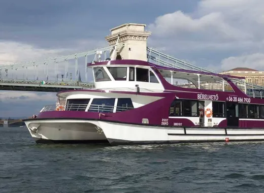 Margareteninsel-Rundfahrt mit Getränk