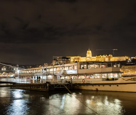 Crucero de Vino o Prosecco