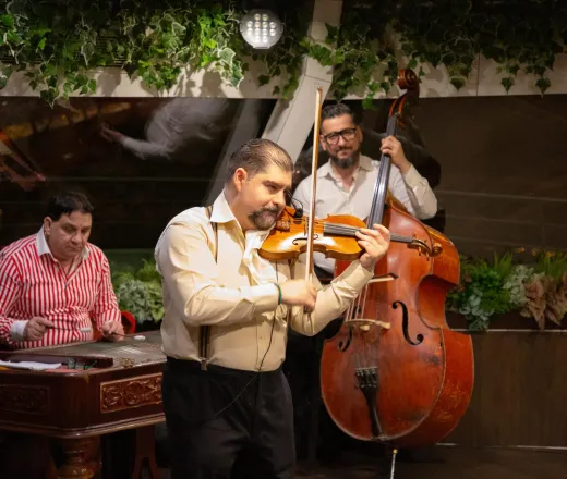 Crucero con cena en Budapest con espectáculo de folclore y opereta