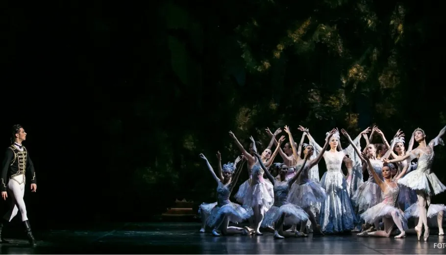 The Sleeping Beauty